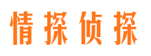 铁西市私家侦探